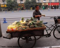 Mini Traper - Chengdu, sprzedawca ananasów