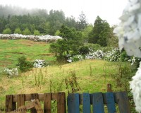 Traper - hortensje, dolina Lombadas