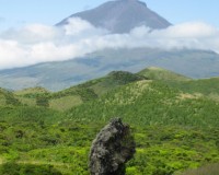 Traper - widok na wulkan Pico